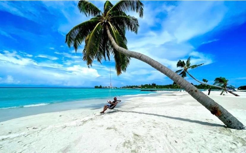 Guraidhoo Palm Inn Kültér fotó