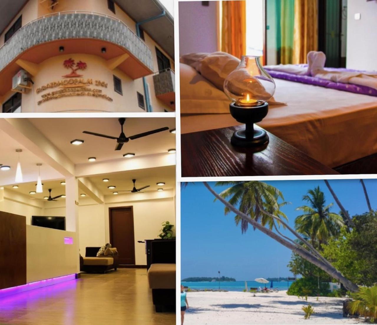 Guraidhoo Palm Inn Kültér fotó